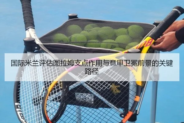 国际米兰评估图拉姆支点作用与意甲卫冕前景的关键路径